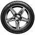 Шина Nexen Winguard WinSpike 3 255/55 R19 111T XL