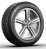 Шина Michelin Pilot Alpin 4 315/35 R20 110V M+S N0 XL